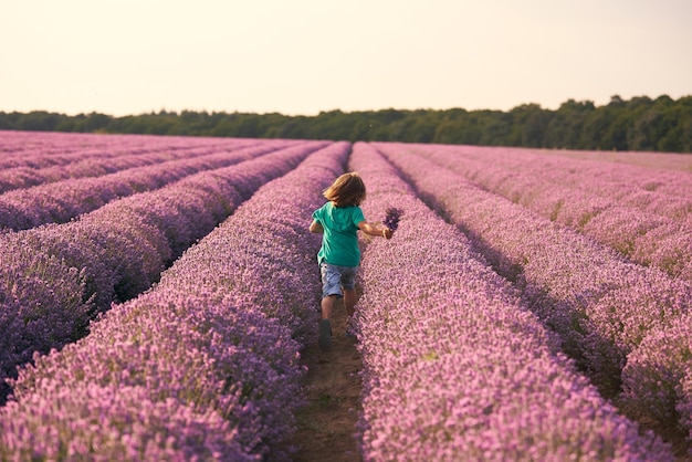 Achterkant van Boy in lavendel zomer veld bij zonsondergang