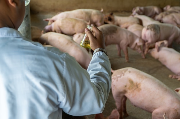 Achtermening van dierenarts Arts die een beschermend kostuum draagt en een Erlenmeyer-fles houdt