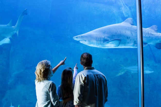 Achtermening van familie die op de tankvis let