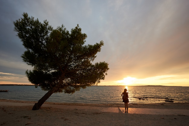 Achtermeningssilhouet die van slanke vrouw zich alleen dichtbij grote boom bij waterrand bevinden, die van mooi zeegezicht bij zonsondergang genieten