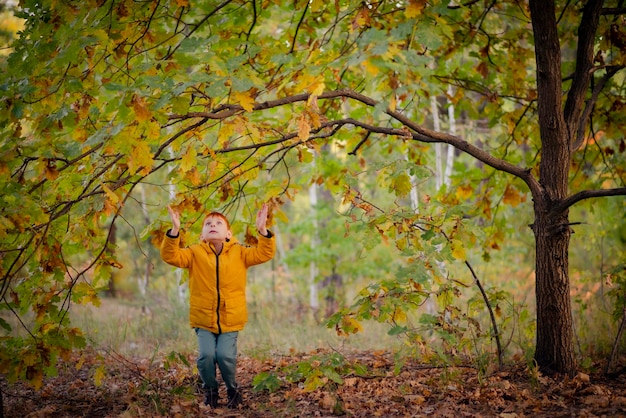 Achtjarige roodharige jongen in een gele jas in het herfstbos