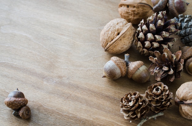 Acorn, walnut and cone on wooden table.