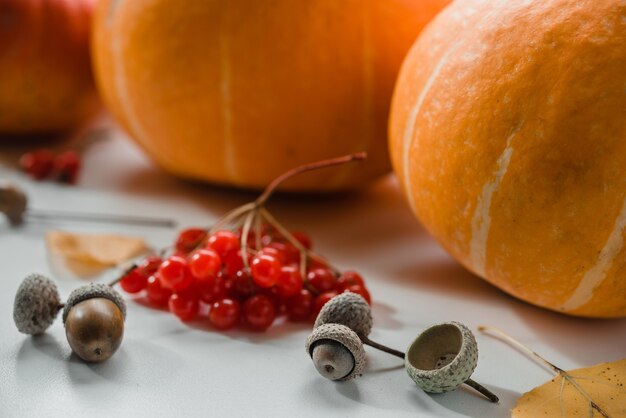 Acorns guelder rose berries yellow leaves and pumpkins autumn composition