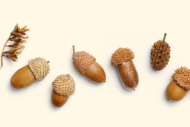 Acorns pattern from painted golden color on beige background Autumn time minimal concept Fall