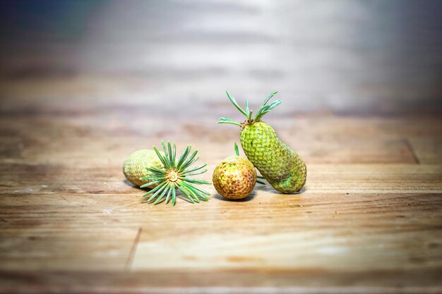 Acorns with petals on wooden platform