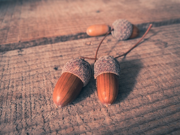 Photo acorns on a wooden background autumn shot