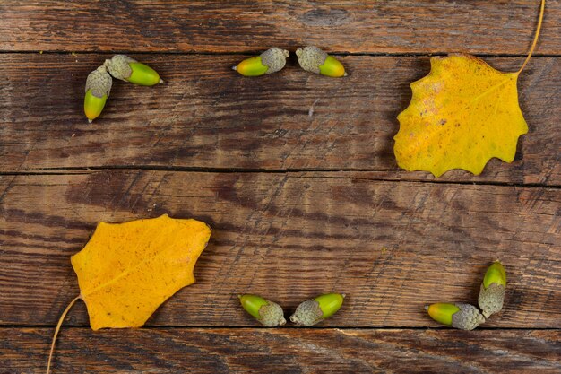 Acorns on a wooden background