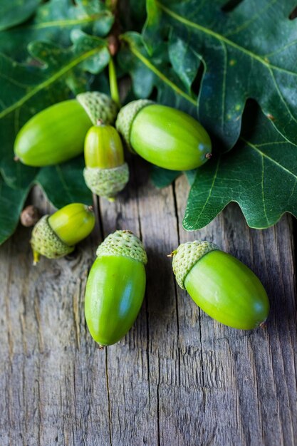 Acorns on a wooden surface