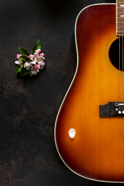 Photo acoustic guitar and apple tree flowers