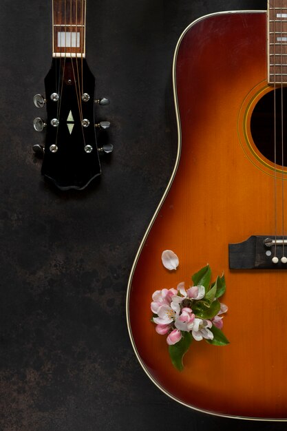 Acoustic guitar and apple tree flowers