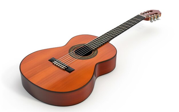 Acoustic Guitar