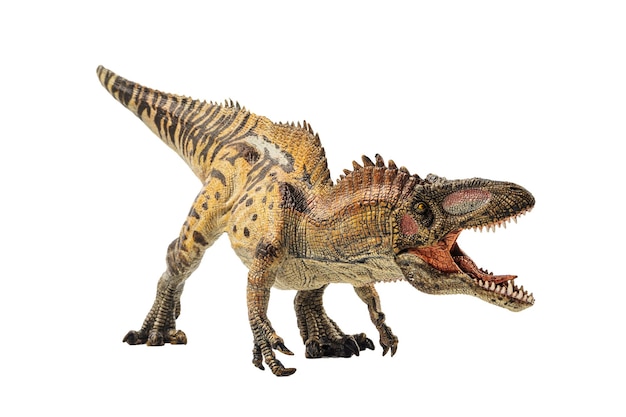 흰색 바탕에 Acrocanthosaurus 공룡