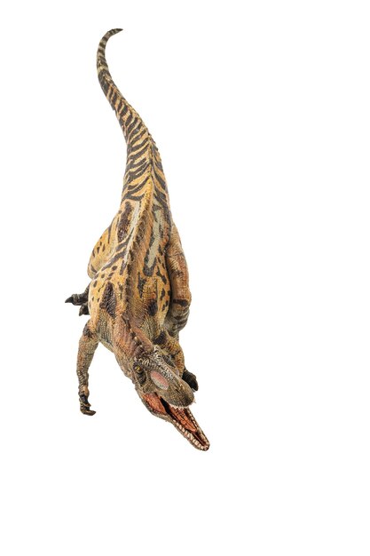 흰색 바탕에 Acrocanthosaurus 공룡