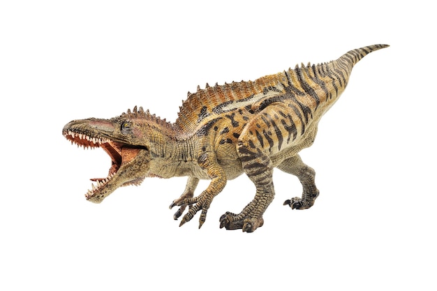 Acrocanthosaurus-dinosaurus op witte achtergrond