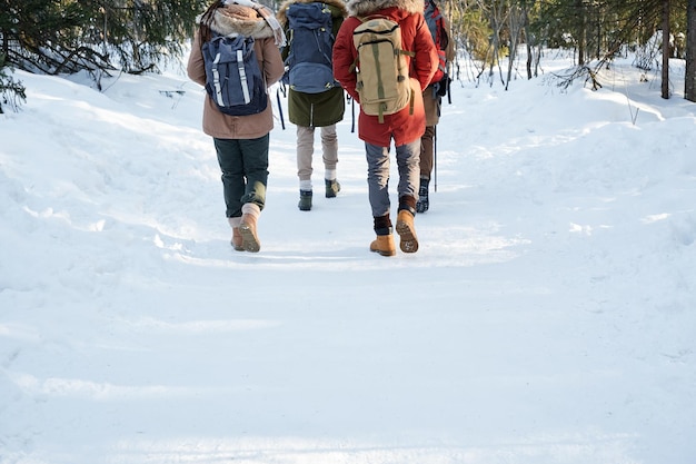 Actieve jongeren wandelen