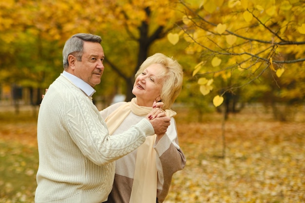 Actieve senioren op een wandeling in de herfstbos