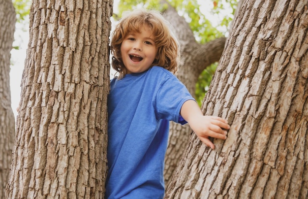 Active kid playing in summer park and climbing up the tree