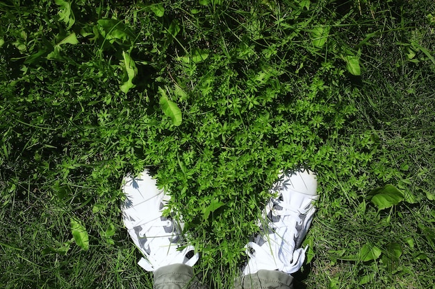 緑の草の背景の夏の抽象的な外観でアクティブなライフスタイルの脚のジムシューズ