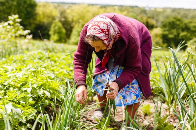 Active senior woman in the garden