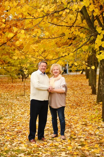 Active seniors on a walk in forest