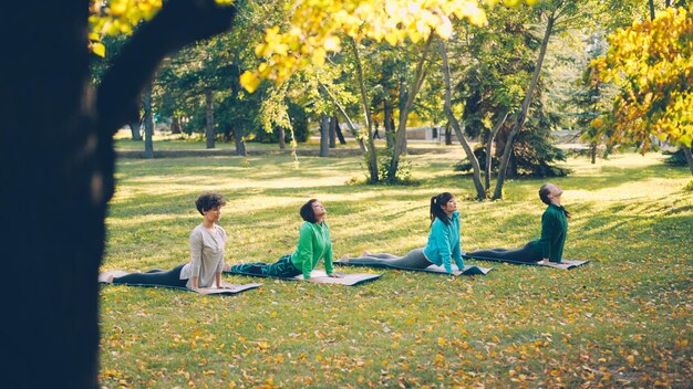写真 活発な若者の女性が屋外の公園で一連のアサナを練習し、グループの女性がトレンディなスポーツウェアを着てマットを使用している