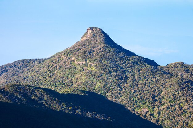 アダムスピークまたはスリパダはスリランカの背の高い山です。アダムスピークは、仏教の伝統に神聖な仏足石があるスリパアダヤ寺院でよく知られています。