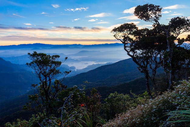 Adams peak vista all'alba