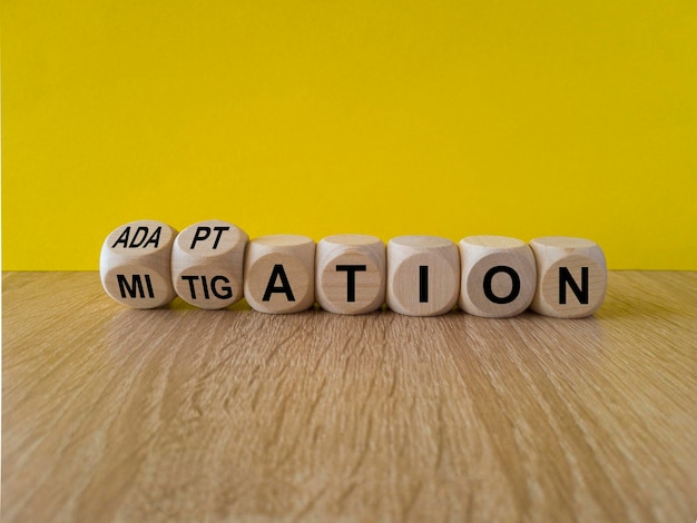 adaptation or mitigation symbol turned cubes and changes the concept word mitigation to adaptation