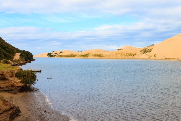 Addo Elephant National Park zeegebied landschap Zuid-Afrika