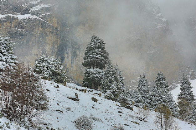 adembenemend berglandschap met besneeuwde toppen