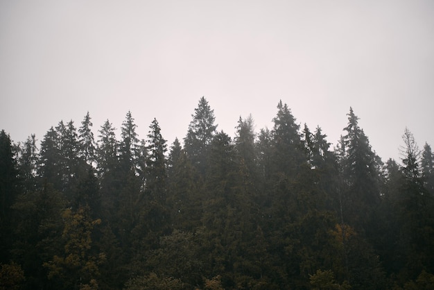 Adembenemend berglandschap panorama Prachtige natuur van het Poolse Tatragebergte