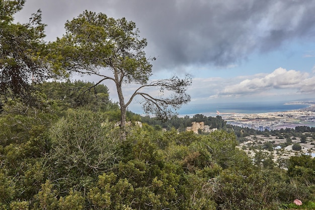 Adembenemend panoramisch uitzicht op Haifa vanaf de berg Carmel, inclusief de zeehaven en de woonwijken