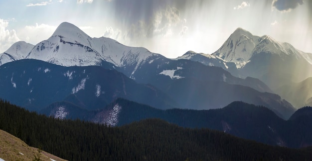 Adembenemend panoramisch uitzicht op prachtige mistige Karpaten, bedekt met altijd groen bos op mistige rustige ochtend of avond onder een donkere bewolkte hemel. Bergen besneeuwde toppen op afstand.