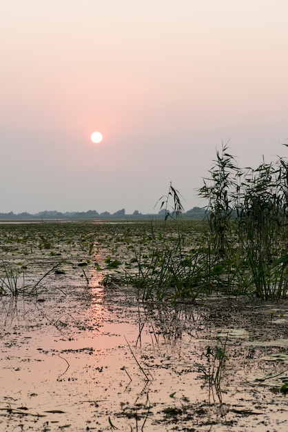 Adembenemende zonsondergang in de delta van donau, roemenië, in een de zomerdag