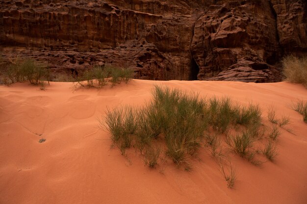 Photo adi rum desert in jordan