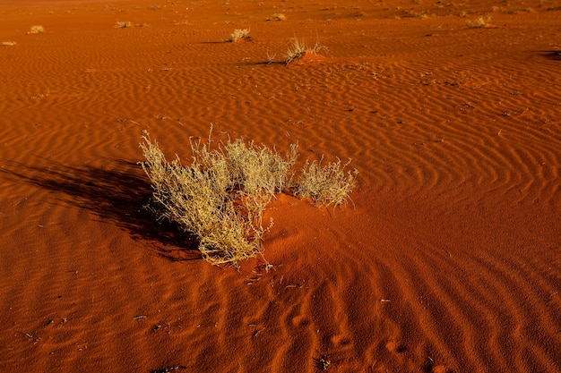 adi Rum-woestijn in Jordanië