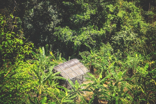 Foto adotta il ritmo della natura