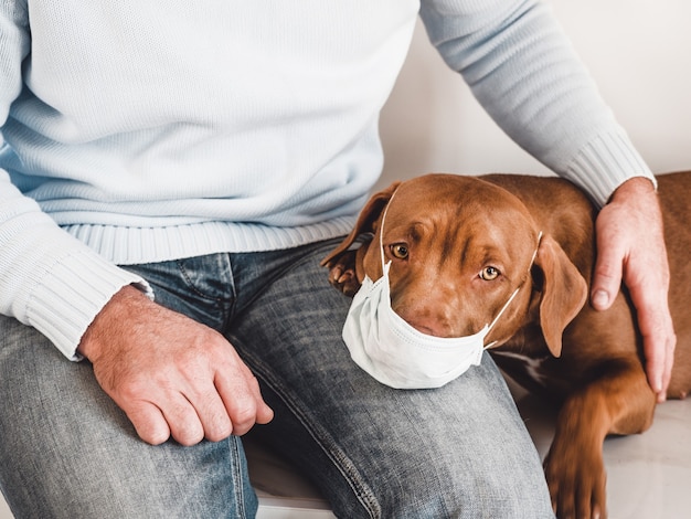 愛らしい、魅力的な子犬と彼の思いやりのある所有者。