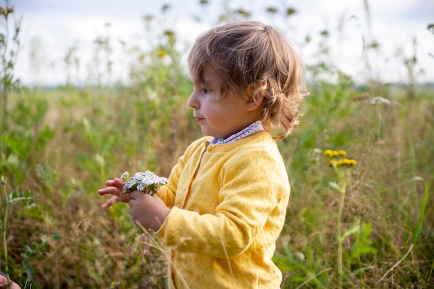 Adorable child toddler in a yellow sweater examines flowers in the field