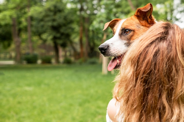 Photo adorable dog enjoying time with his owner