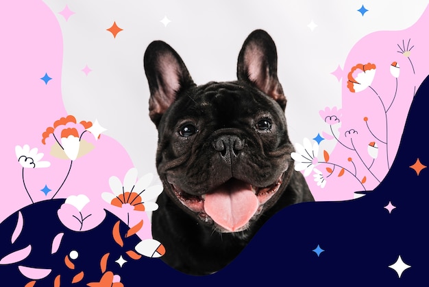 Photo adorable dog with abstract colorful graphic background