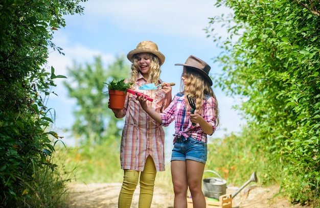 植物を植えに行く帽子の愛らしい女の子。農場で楽しんでいる子供の兄弟。エコ農業のコンセプト。ガーデニングツールを持つ女の子。農場で助けている姉妹。家族経営の農場へ向かう途中。農業の概念。