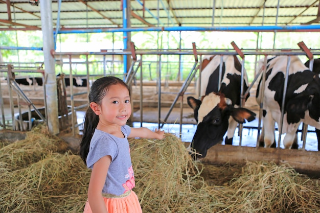 乾燥したわらで牛に餌をやるかわいいアジア子少女