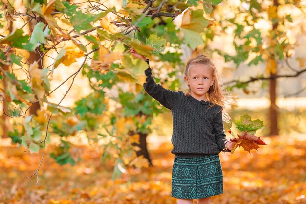 Adorable little girl at beautiful autumn day outdoors