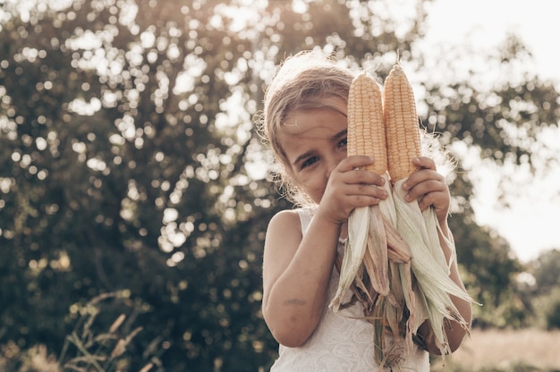 Adorable Little girl playing in a corn field on beautiful autumn day. Pretty child holding a cob of corn. Harvesting with kids. Autumn activities for children.