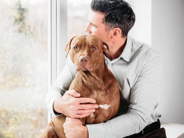 Adorable man and lovable, pretty puppy of brown color. Close-up, indoor. Day light. Concept of care, education, obedience training and raising pets