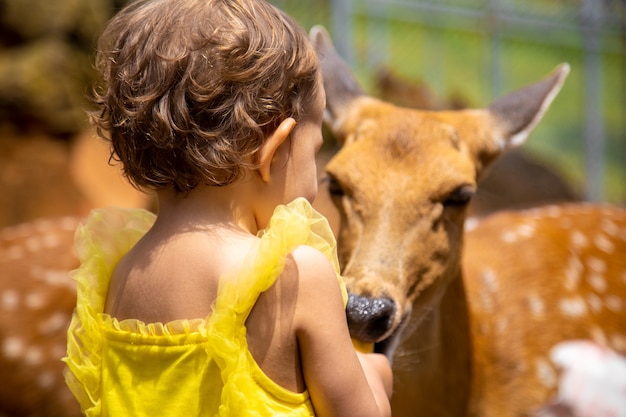 愛らしい幼児が農場で鹿に餌をやる。動物園で動物をかわいがる美しい赤ちゃん。家族の週末に興奮して幸せな女の子。