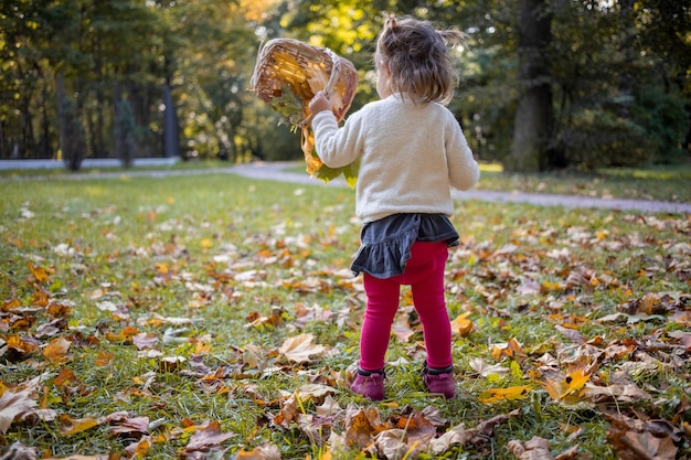 晴れた日に秋の公園で黄色のカエデの葉で遊ぶ愛らしい幼児の女の子