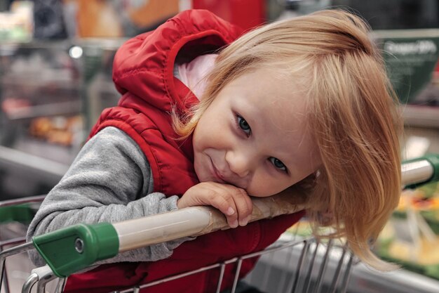 Adorable toddler girl sitting in shopping cart in store or supermarket. Portrait little cute kid going shopping and buying goods on a store shelf