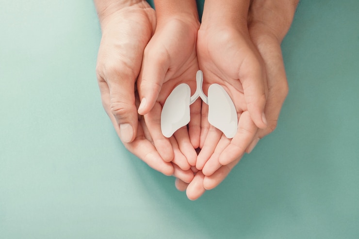 Photo adult and child hands holding lung, world tuberculosis day, world no tobacco day, corona covid-19 virus, eco air pollution. organ donation concept